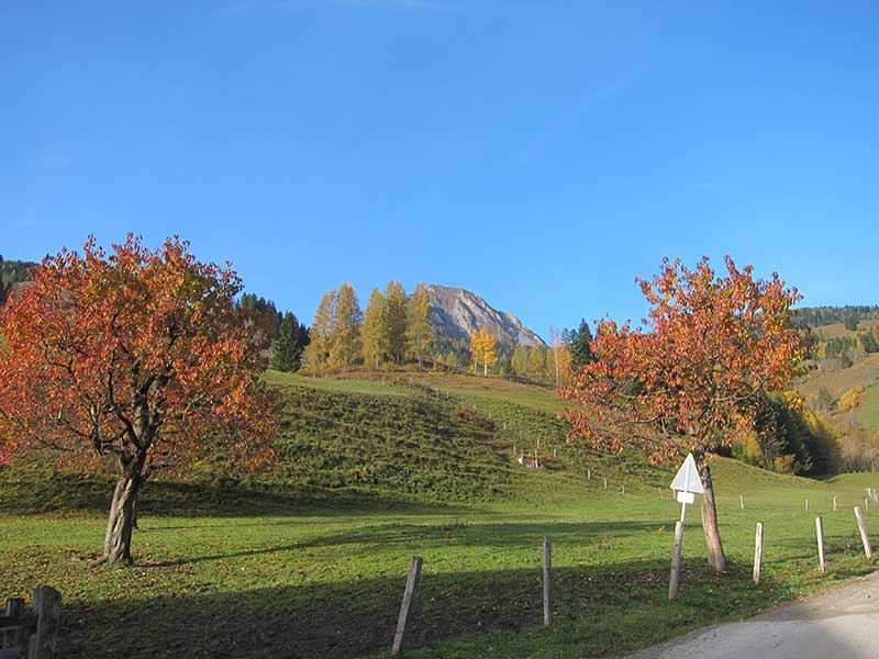 Bernkogel